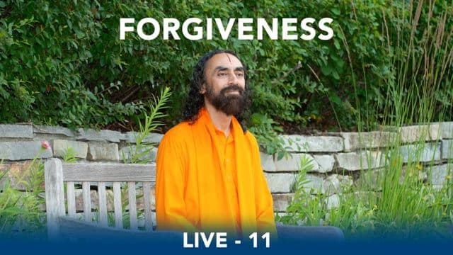 SMEx Session 11 - Forgiveness