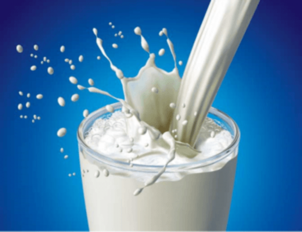 Importance of Milk in Diet