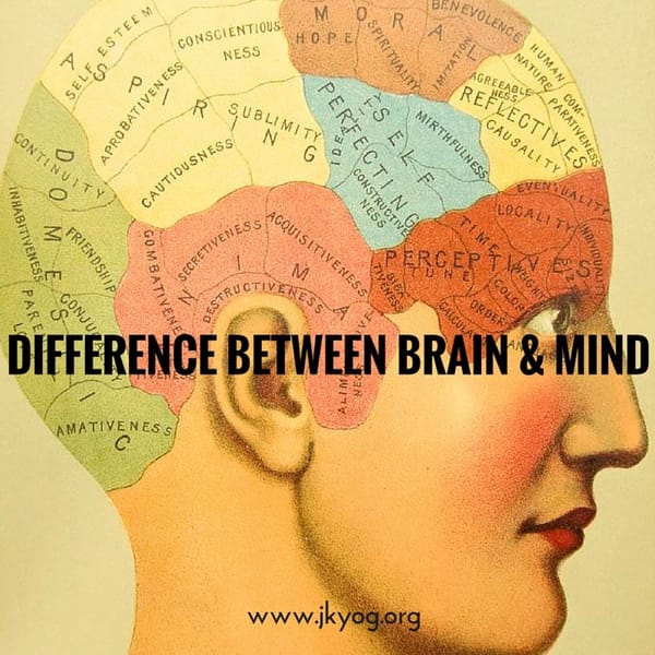 Difference between Brain and Mind